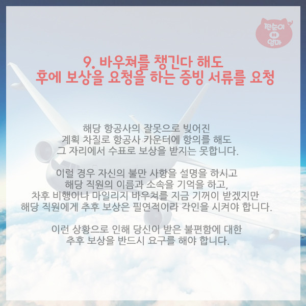 항공사가 숨기는 탑승객의 권리 10가지 | 인스티즈