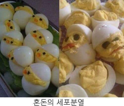 요리고자들의 이상과 현실 | 인스티즈