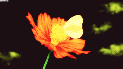 아름다운 애니메이션 배경.gif | 인스티즈