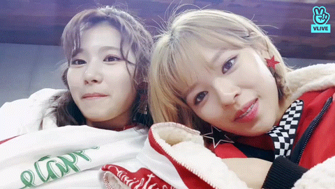 트와이스 V LIVE 정연 사나 | 인스티즈