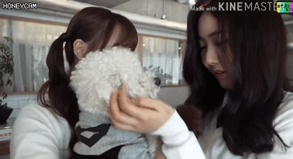 여자친구 예린이의 나쁜 손.gif | 인스티즈