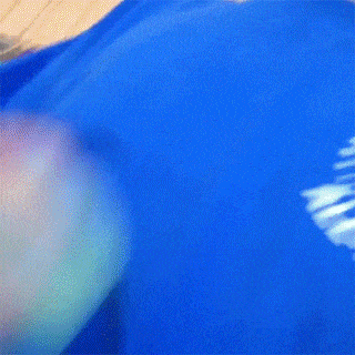 고양이 키우고 싶어지는 짤.gif | 인스티즈