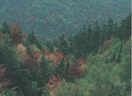 색약이 보는 세상 . jpg | 인스티즈