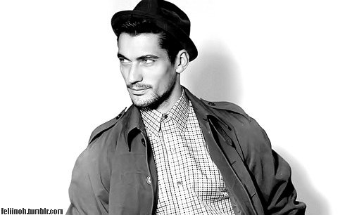 [데이비드간디] 그리스로마신화의 현신 같은 모델.jpgif 스압,약19금? | 인스티즈