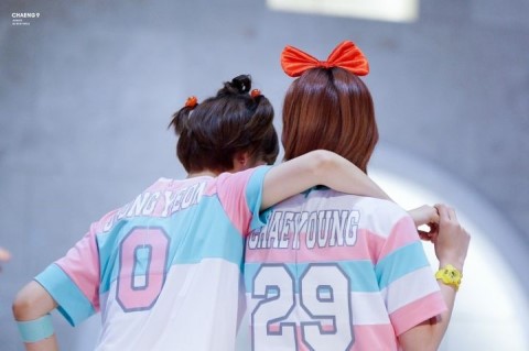 형제 같은 트와이스 멤버 .gif | 인스티즈