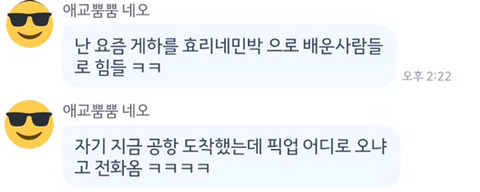 제주에서 게스트하우스를 하는 사람의 넋두리 | 인스티즈