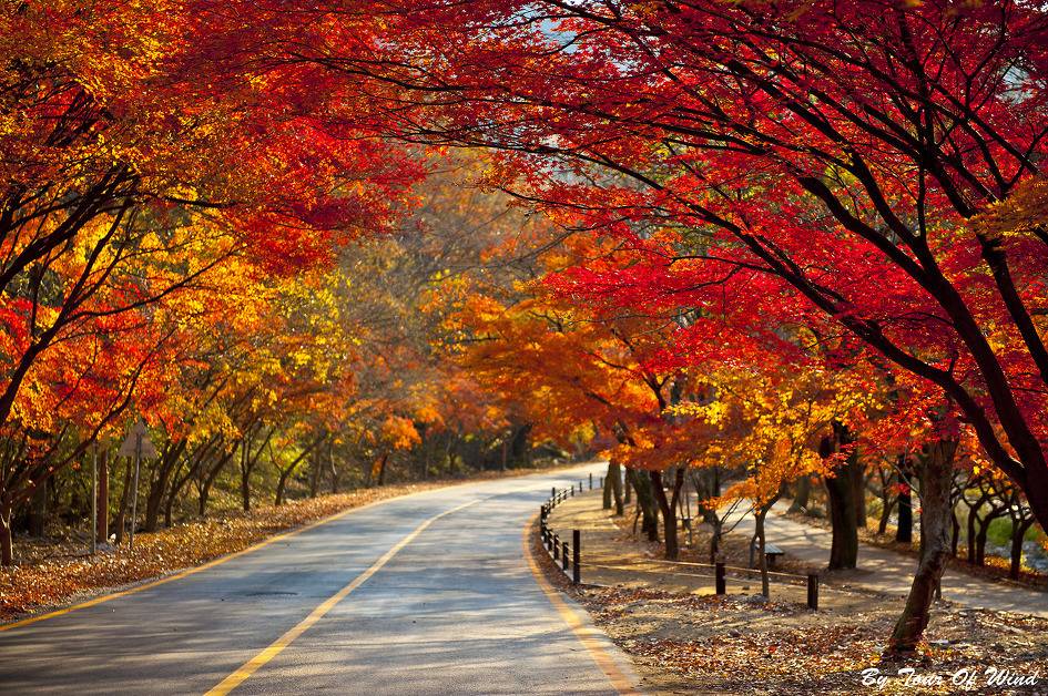 다음 중 자기가 가장 좋아하는 분위기 고르기 | 인스티즈