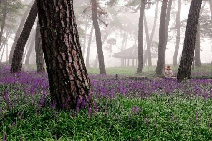 외국인이 촬영한 우리나라 풍경 | 인스티즈