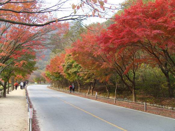 대한민국 최고의 드라이브코스들 총망라 | 인스티즈