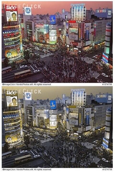 색약이 보는 세상 . jpg | 인스티즈