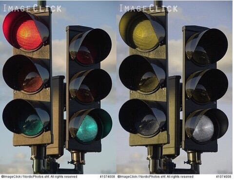 색약이 보는 세상 . jpg | 인스티즈