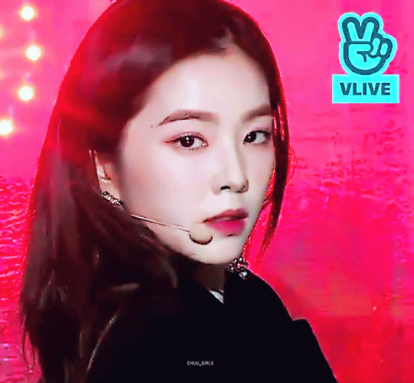  활동별로 보는 레드벨벳 아이린.jpgif | 인스티즈