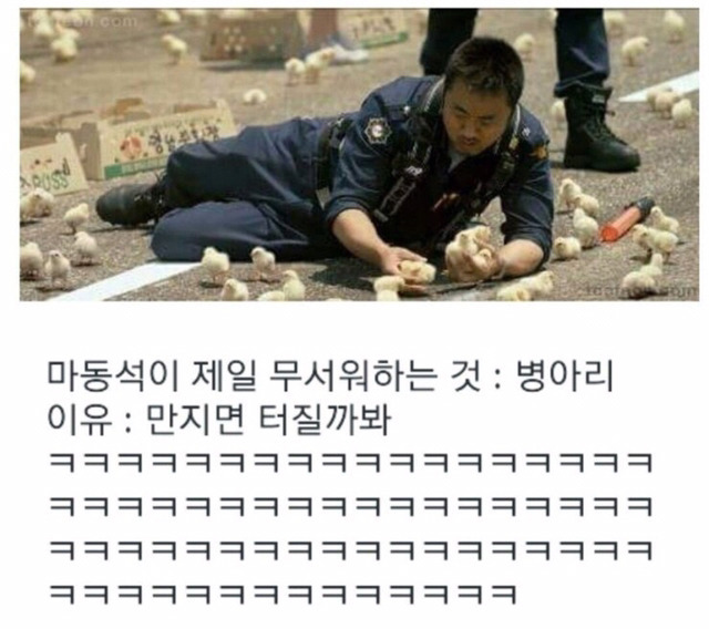 잡다구리한 웃짤 모음 1탄 (feat.무한도전) - 인스티즈(instiz) 인티포털 카테고리