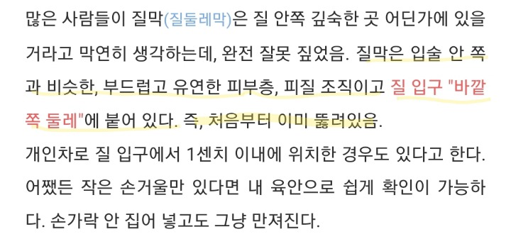 질막(처녀막)에 대해 넌 어디까지 알고있니? | 인스티즈