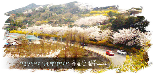 대한민국 최고의 드라이브코스들 총망라 | 인스티즈