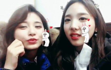 트와이스 꿀케미 | 인스티즈