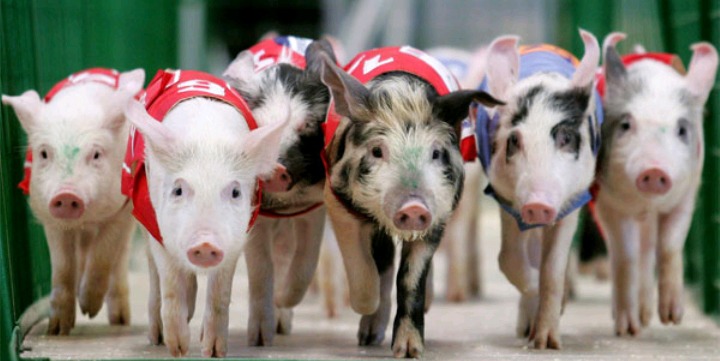 눈으로 보는 크리스마스 홈파티 과정 | 인스티즈