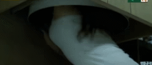 아빠가 큰 고양이를 입양해왔는데.. 개무섭고 개시름;.gif | 인스티즈