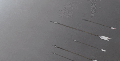 영상미 하나는 최고인 애니메이션 영화 | 인스티즈