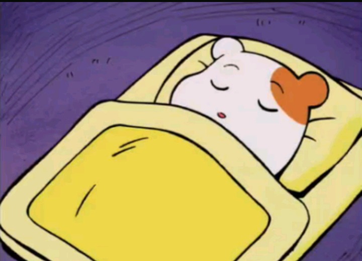 눈으로 보는 크리스마스 홈파티 과정 | 인스티즈