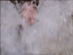 [그리스로마신화] 물병자리의 비밀. 암컷이든 수컷이든 그저 맛만 좋으면 되는거 아니겠습니까. 그게 몇백살 연하라도 | 인스티즈