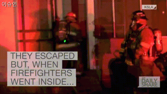 밀폐 공간 화재시 함부로 문을 열면 안되는 이유 | 인스티즈