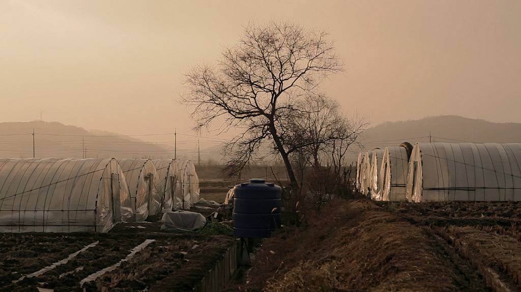 좋은 영화가 많이 개봉했던 2013년 | 인스티즈