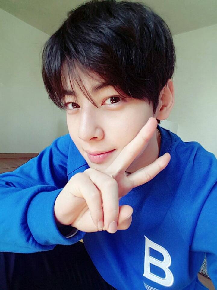 [데이터주의] 차은우 미모 수준 | 인스티즈