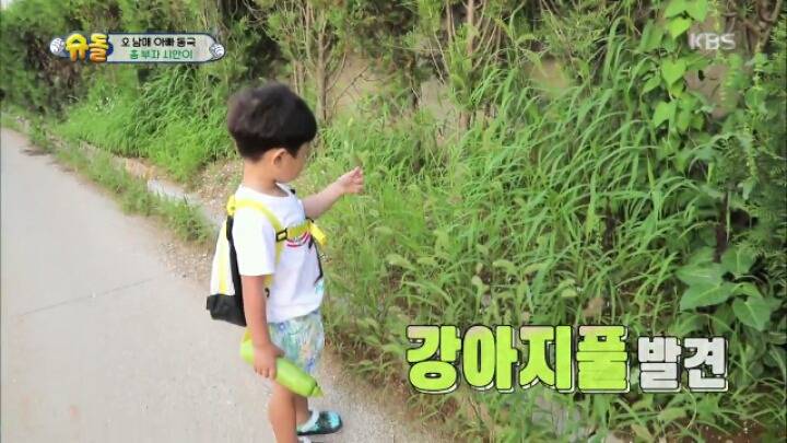 정말 타고난 것 같은 천사시안이 모음 | 인스티즈