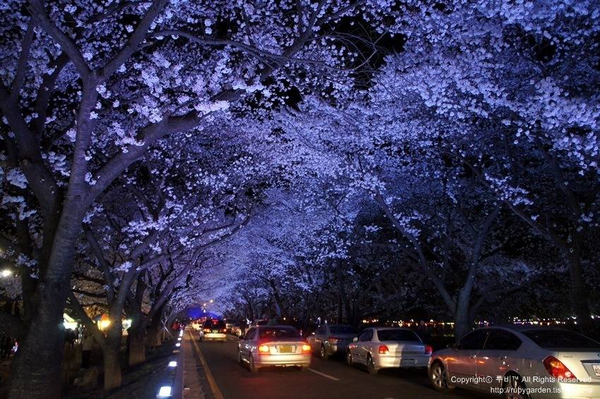 대한민국 최고의 드라이브코스들 총망라 | 인스티즈