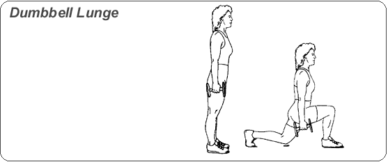 웨이트 시작하시는 분들에게 추천하는 운동과 동작을 이해하는 팁 | 인스티즈