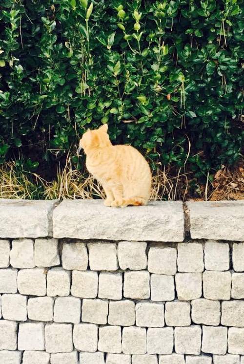 어느 아티스트가 한 말들 | 인스티즈