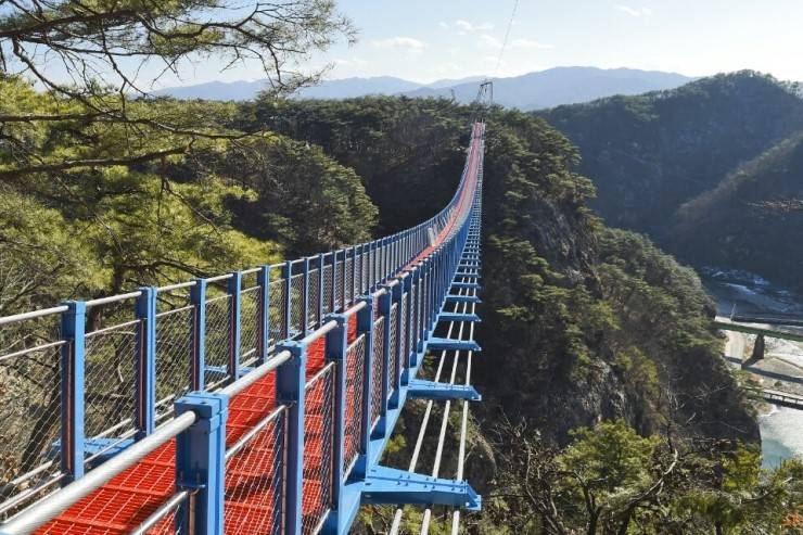 개장하자마자 인기폭발이라는 원주 소금산 출렁다리 | 인스티즈