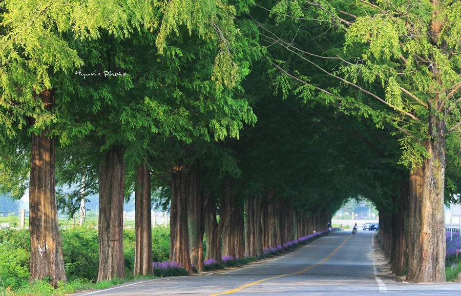 대한민국 최고의 드라이브코스들 총망라 | 인스티즈