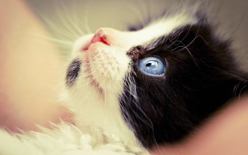  ﻿너를 만지고 싶다 | 인스티즈