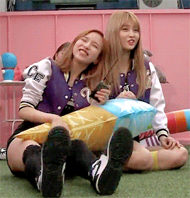 트와이스 펭귄미나.gif | 인스티즈