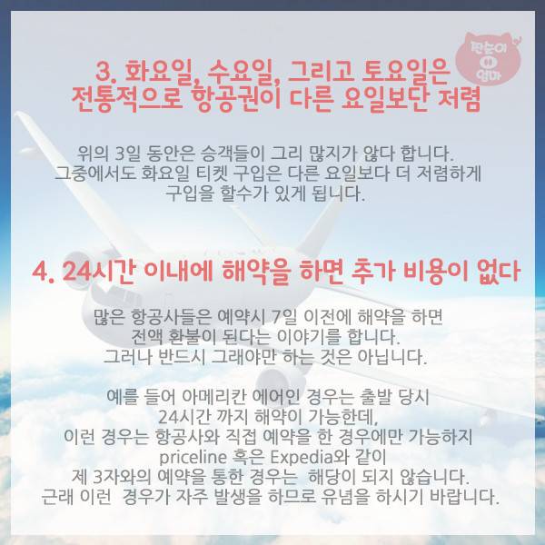 항공사가 숨기는 탑승객의 권리 10가지 | 인스티즈
