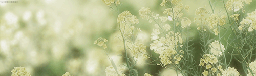 아름다운 애니메이션 배경.gif | 인스티즈