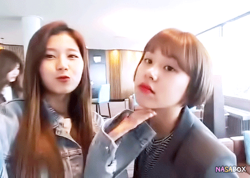 트와이스 손채영 | 인스티즈