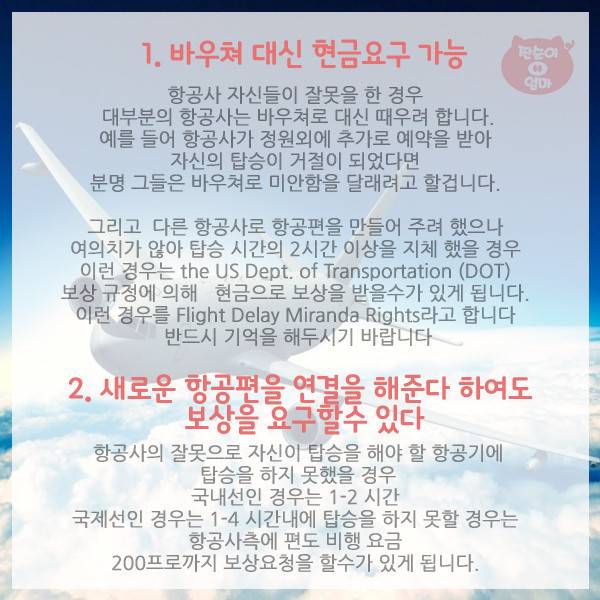 항공사가 숨기는 탑승객의 권리 10가지 | 인스티즈