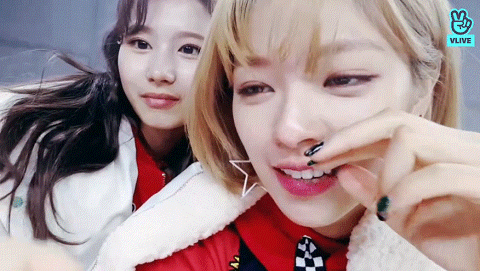 트와이스 V LIVE 정연 사나 | 인스티즈