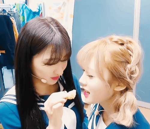 조련당하는 우주소녀 루다 | 인스티즈