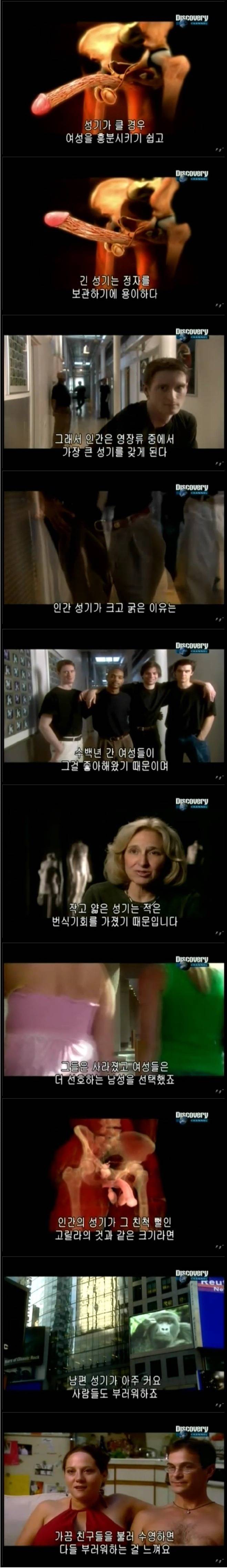 인간의 성기가 크고 굵은 이유.jpg | 인스티즈