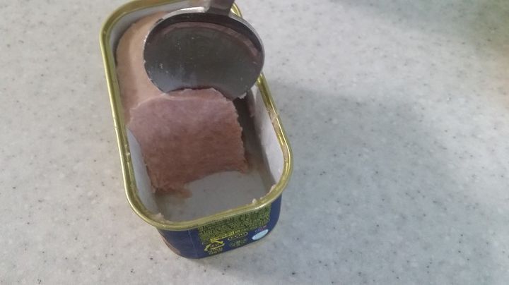 자취생 스팸구이의 정석 | 인스티즈