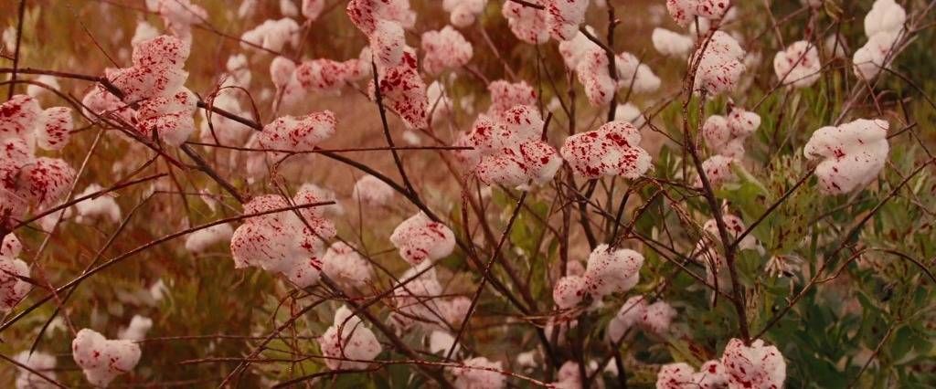 좋은 영화가 많이 개봉했던 2013년 | 인스티즈