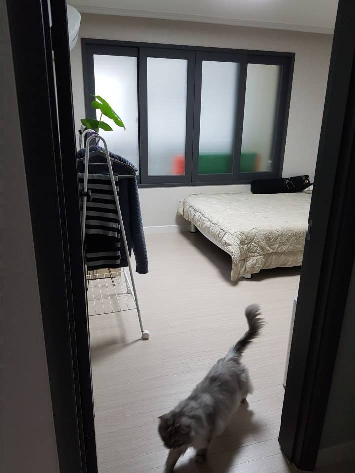 자취방에서 아파트로! 신혼집이 되었습니다 | 인스티즈