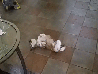 다이어트 자극사진 | 인스티즈