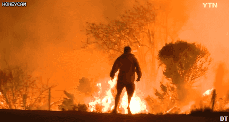 캘리포니아의 산불 속으로 청년이 뛰어들어간 이유.jpg | 인스티즈