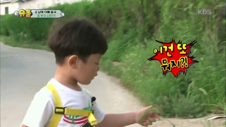 정말 타고난 것 같은 천사시안이 모음 | 인스티즈