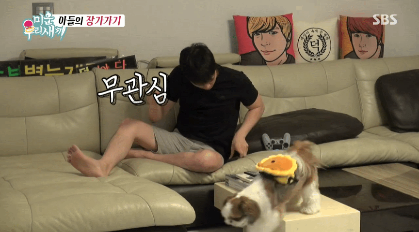 힐링되는 강아지들 일상 | 인스티즈